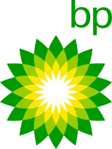 Logo BP – klient Meritum24