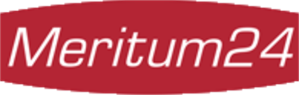 Logo Meritum24